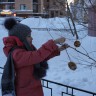 "Вкусный обед для пичужки" "Вкусный обед для пичужки"