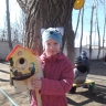 Домик для скворцов Домик для скворцов