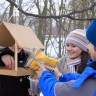 Поможем птичкам зимой Поможем птичкам зимой
