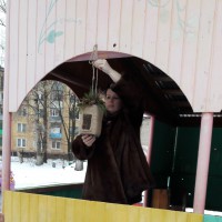 Развешиваем кормушки Развешиваем кормушки