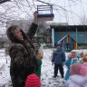 угощение для пернатых угощение для пернатых
