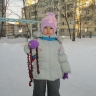 Лакомство для снегирей Лакомство для снегирей