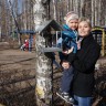 Птичкина столовая Птичкина столовая