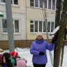Зимующие птицы Зимующие птицы