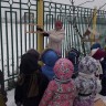 Помощь пернатым Помощь пернатым