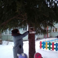 Заботимся о птицах Заботимся о птицах