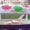 столовая для птичек столовая для птичек
