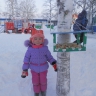 Забота о птицах Забота о птицах