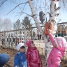 Не оставим птиц голодными Не оставим птиц голодными