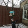 кормушка для птиц кормушка для птиц