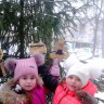 "С Новым годом, птицы!" "С Новым годом, птицы!"