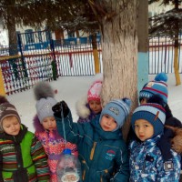 С заботой о птицах! С заботой о птицах!