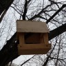 Кормушка для птиц Кормушка для птиц