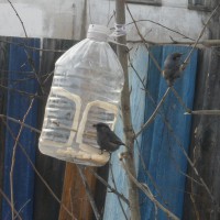 кормушка для птиц кормушка для птиц