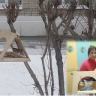 "Кормушка для пернатых" "Кормушка для пернатых"