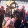 Кормушка для пичужки Кормушка для пичужки