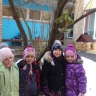 Пернатые друзья Пернатые друзья