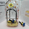 Синичкин праздник Синичкин праздник