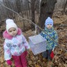 Птичья столовая Птичья столовая