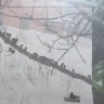 В ожиданииочереди... В ожиданииочереди...