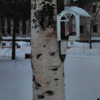 Приятного аппетита! Приятного аппетита!