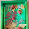 Божьи коровки Божьи коровки