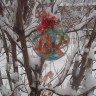 Рождественская кормушка Рождественская кормушка