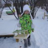 Кормушка для друзей Кормушка для друзей