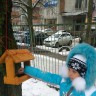 Заботимся о птицах зимой! Заботимся о птицах зимой!