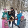 Спасатели зимующих птиц Спасатели зимующих птиц