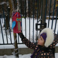 "Покормим птиц зимой" "Покормим птиц зимой"