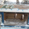 Птичья столовая Птичья столовая