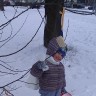 Кормушка для пичужки Кормушка для пичужки