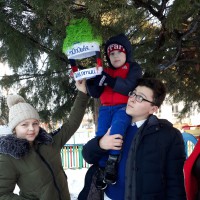 Столовая для птиц Столовая для птиц