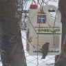 кафе чирик кафе чирик