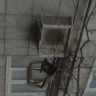 Кормушка для пернатых друзей Кормушка для пернатых друзей