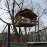 Сказочная кормушка. Сказочная кормушка.