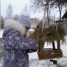 "Накормите птиц зимой" "Накормите птиц зимой"