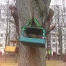 Зеленый дворец Зеленый дворец