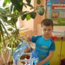 Помоги птицам Помоги птицам