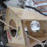 Птичья столовая Птичья столовая