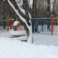 Кушать подано! Кушать подано!