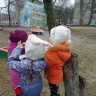 Кормушка на нашем участке 2 Кормушка на нашем участке 2