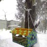 Подарок пернатым Подарок пернатым