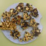 Печенюшки для пичужки Печенюшки для пичужки