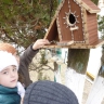 Столовая для птиц Столовая для птиц