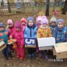 Забота о пернатых Забота о пернатых