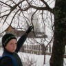 Покормите птиц зимой Покормите птиц зимой