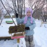 Мохнатая кармушка Мохнатая кармушка