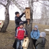 домик для птиц домик для птиц